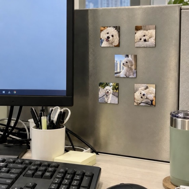 Mag on You 照片磁貼示範 — 留住美好回憶 (@Kelly)